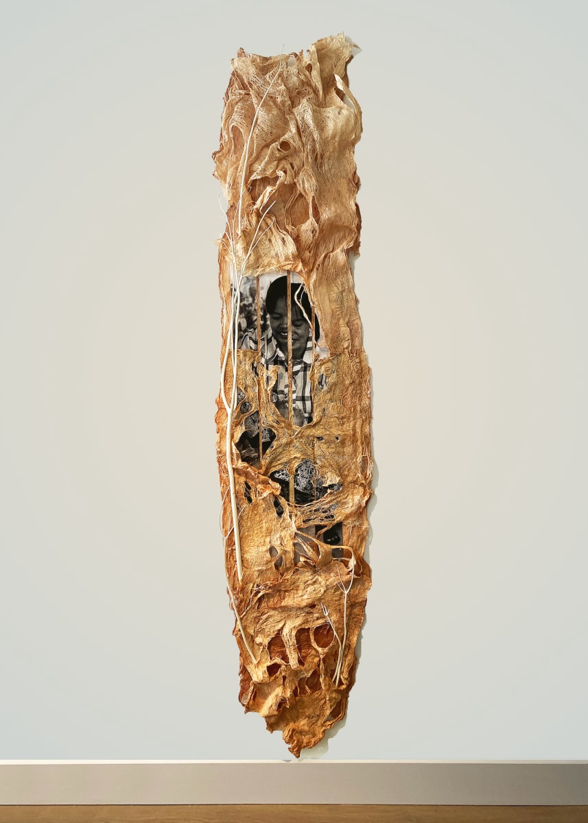 Origins II by Frances Vye Wilson, Image 1.