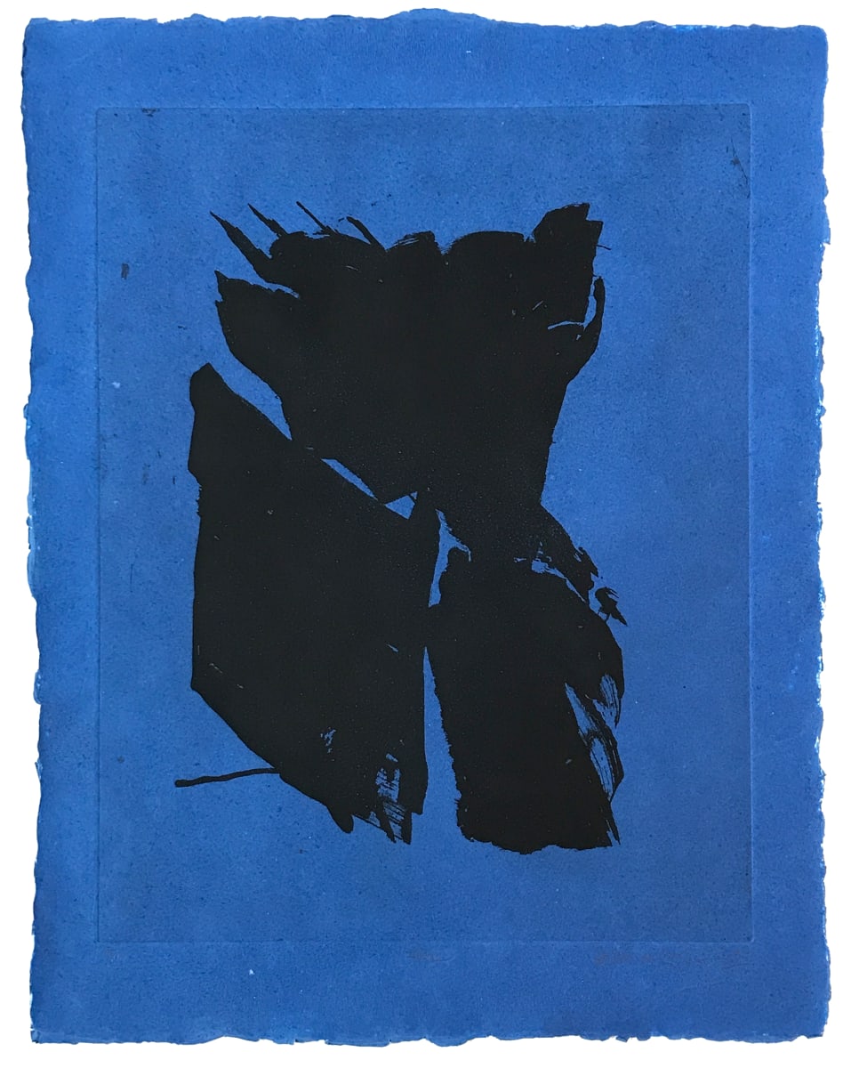 Flare by Willem de Looper, Image 1.