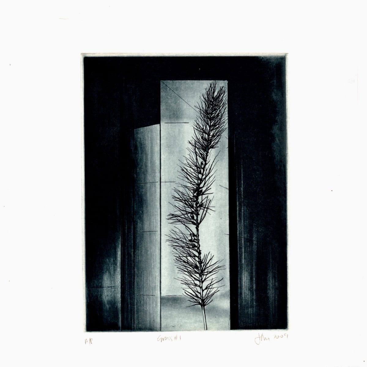Grass #1 by Jenny Freestone 