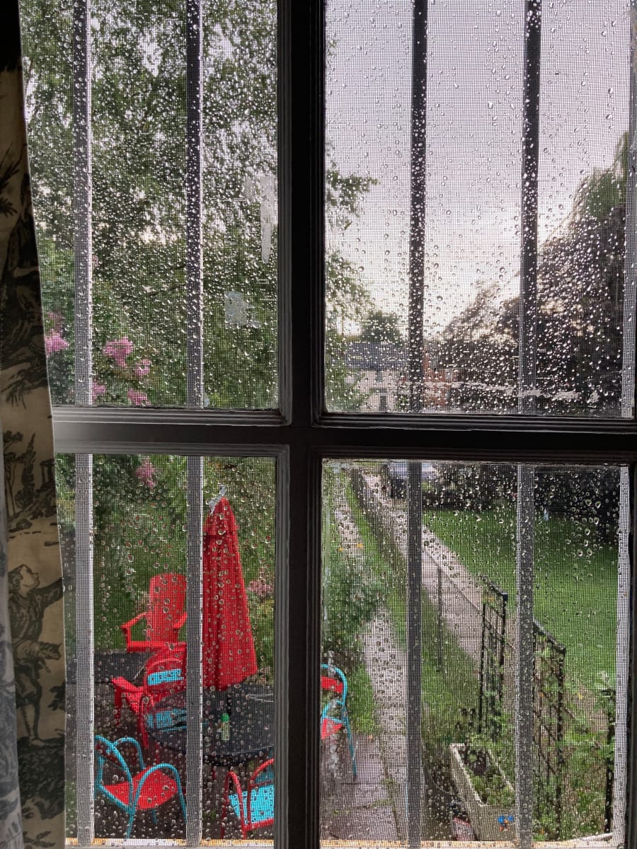(Rain) Backyard #1 2023 by Kimberley Bursic 