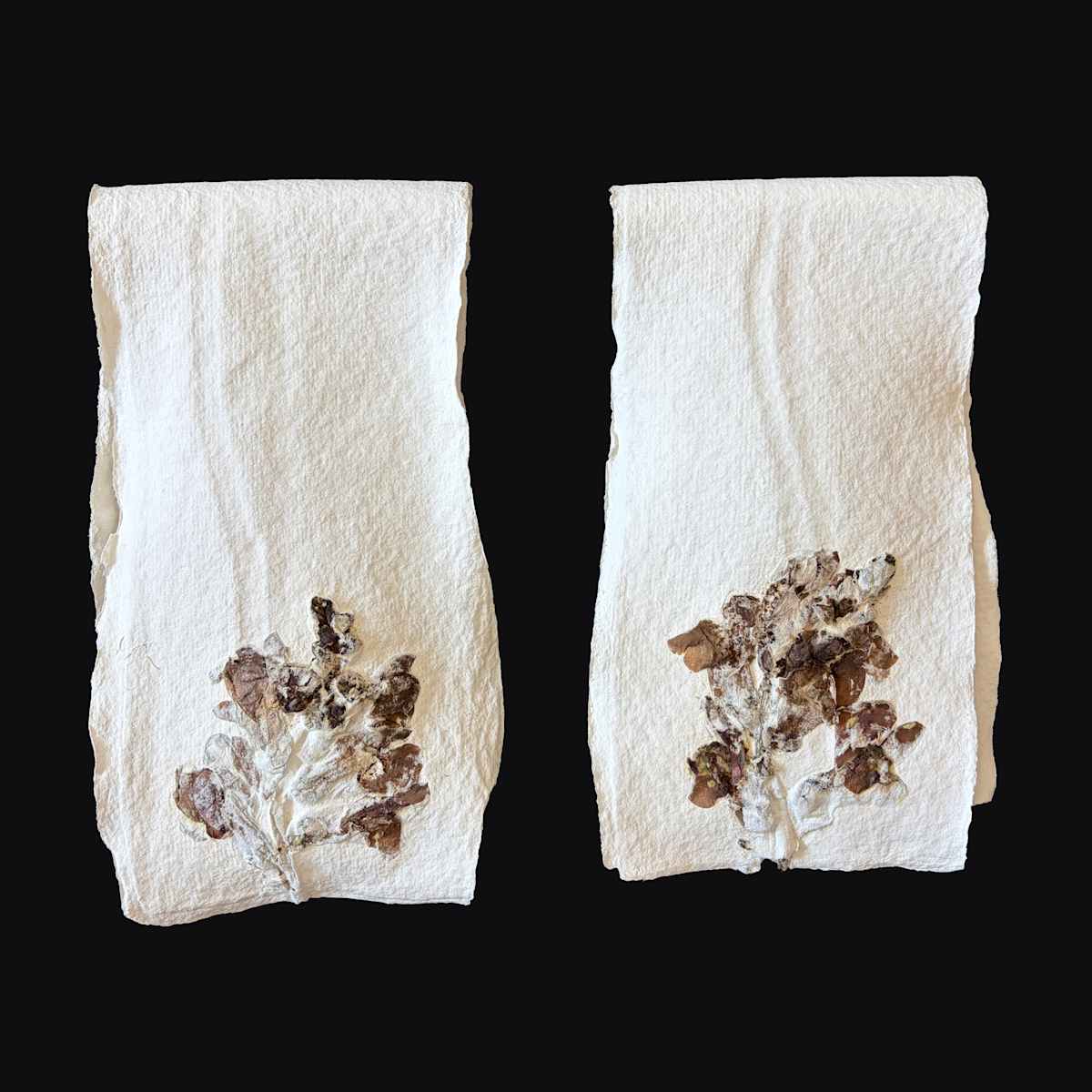 Blue Bonnets Couplet Book by Yvette Grutter, Image 2.
