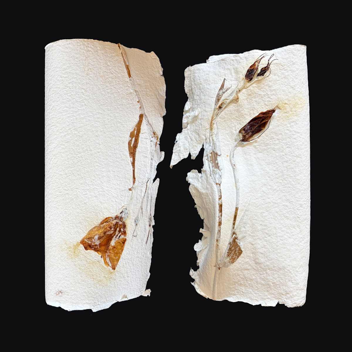 Lilies Couplet Book III by Yvette Grutter, Image 10.