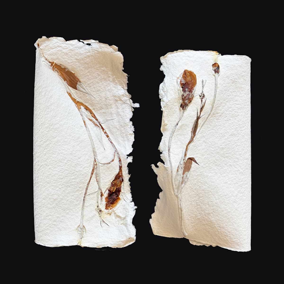 Lilies Couplet Book V by Yvette Grutter, Image 8.