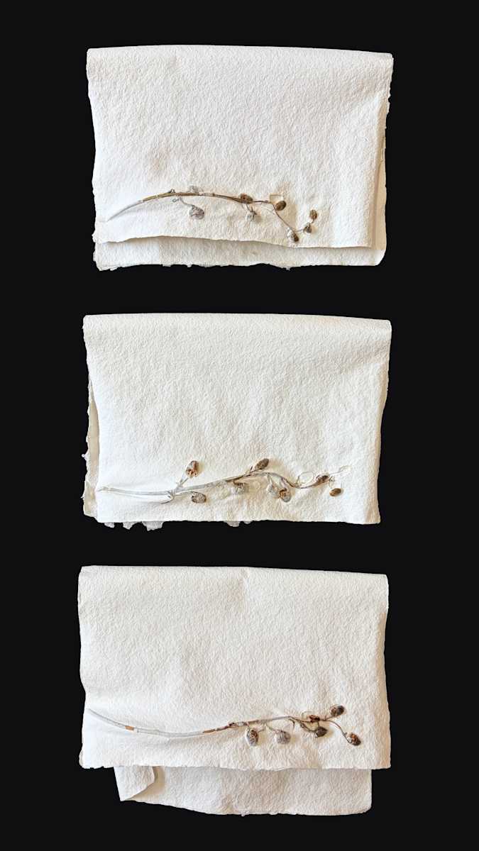 Delphiniums Poem | Tercet II by Yvette Grutter, Image 9.