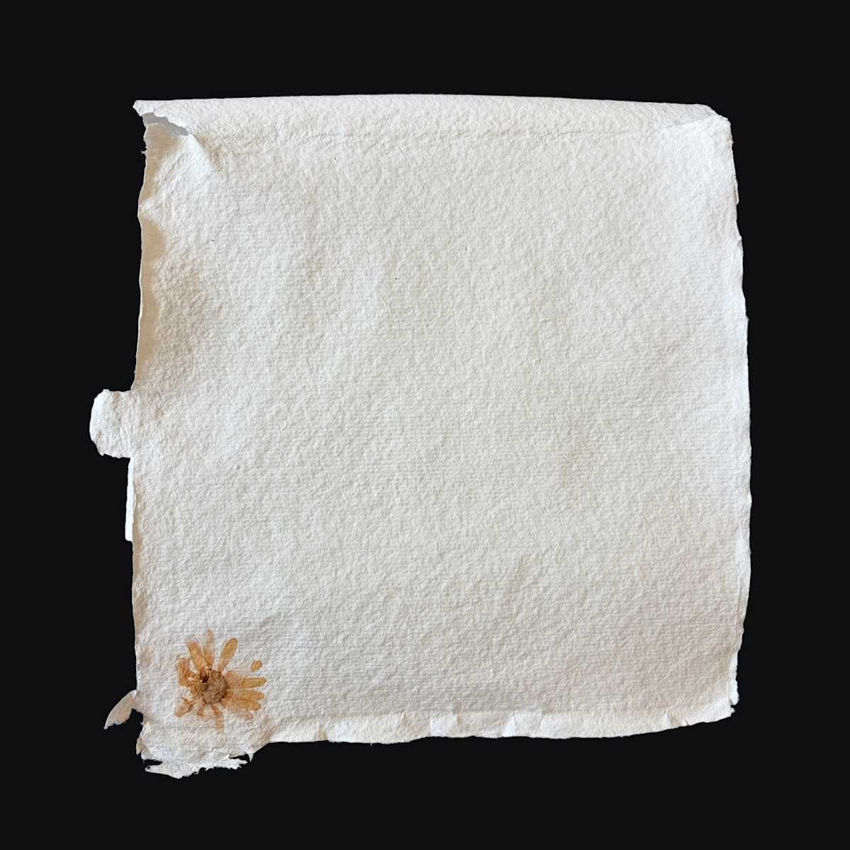 Yellow Flower Book by Yvette Grutter, Image 20.