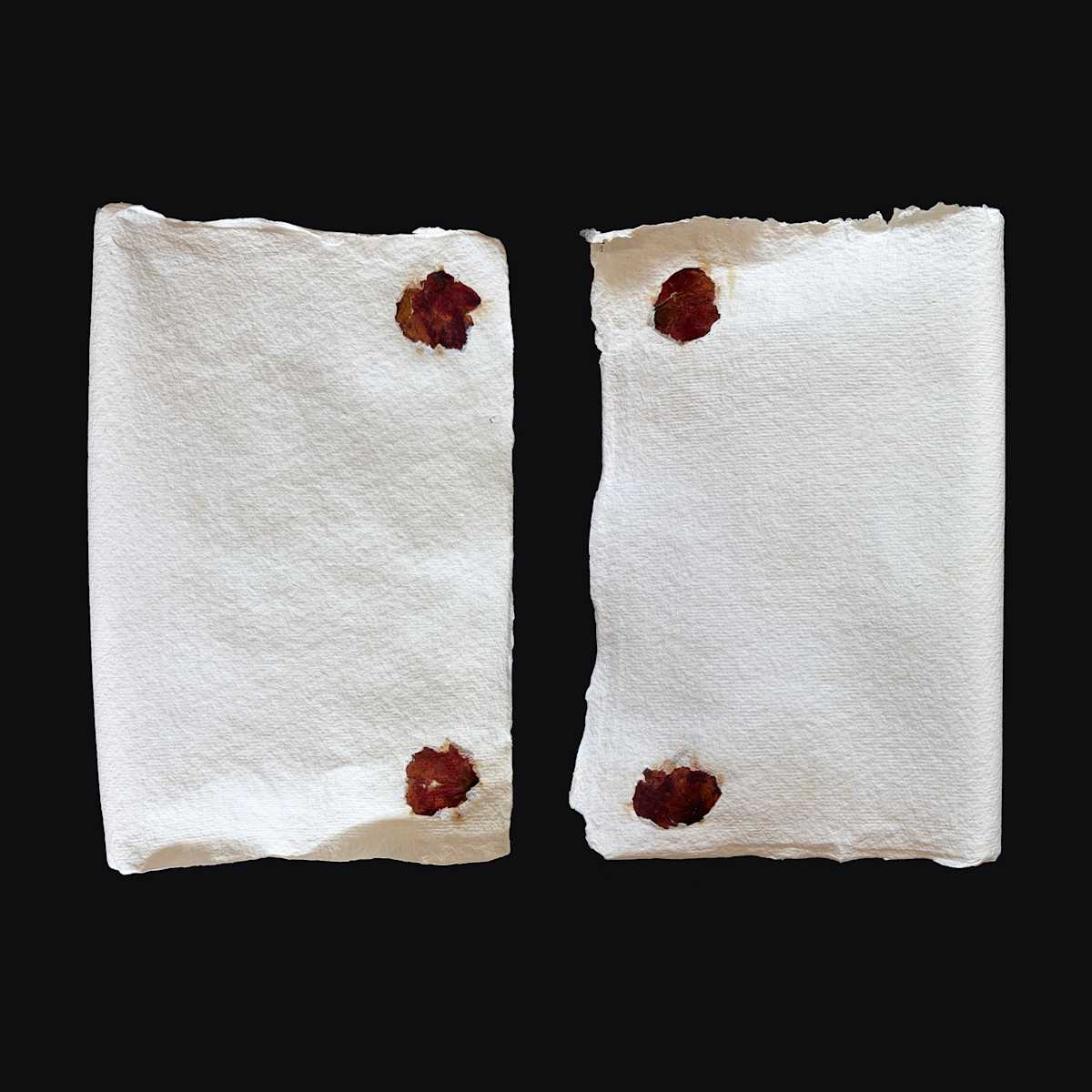 Red Rose Petals Couplet Book by Yvette Grutter, Image 17.