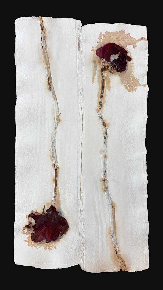 Solace Roses I by Yvette Grutter, Image 19.