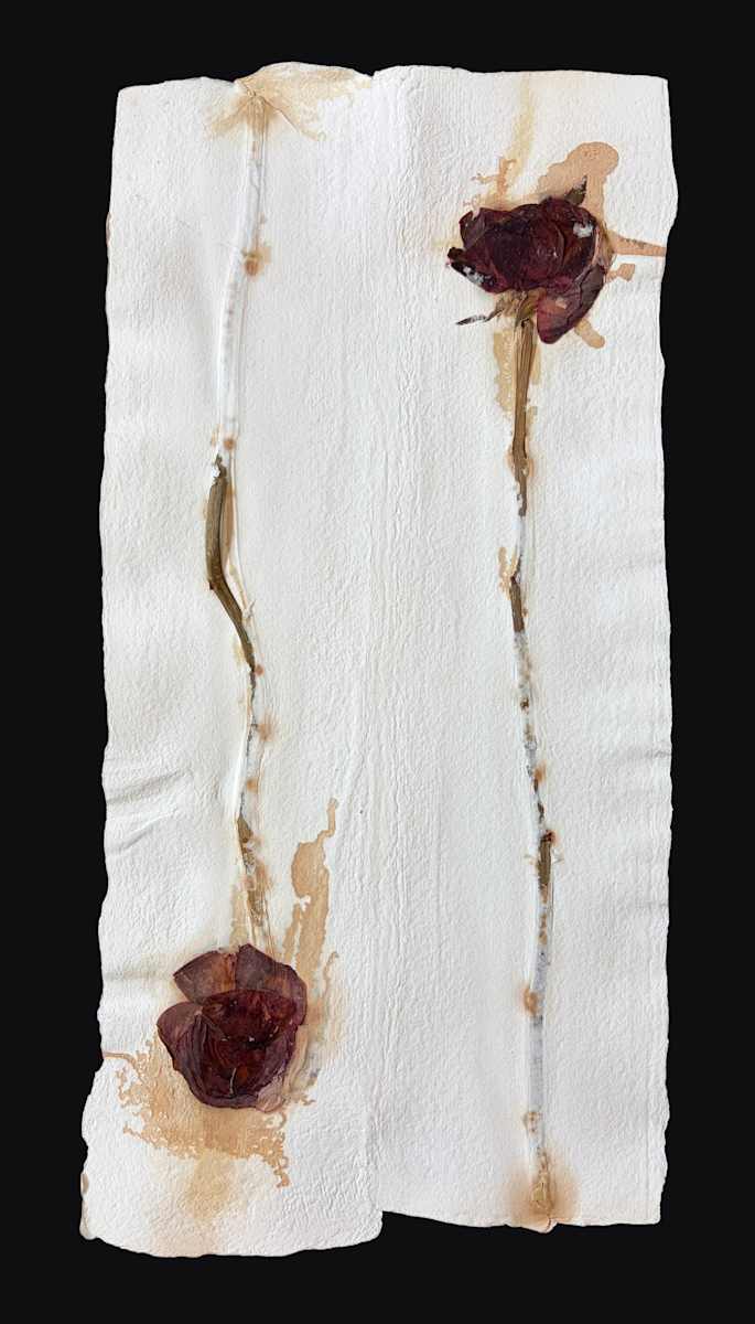 Solace Roses II by Yvette Grutter, Image 18.
