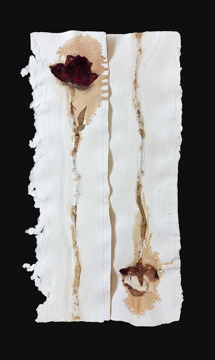Solace Roses III by Yvette Grutter, Image 1.