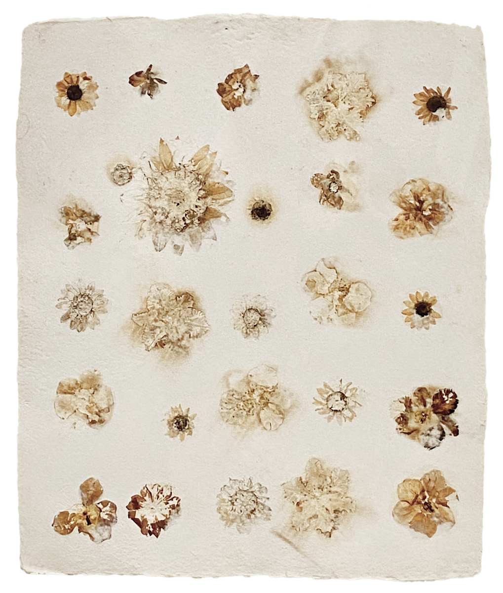 Botany II by Yvette Grutter, Image 3.