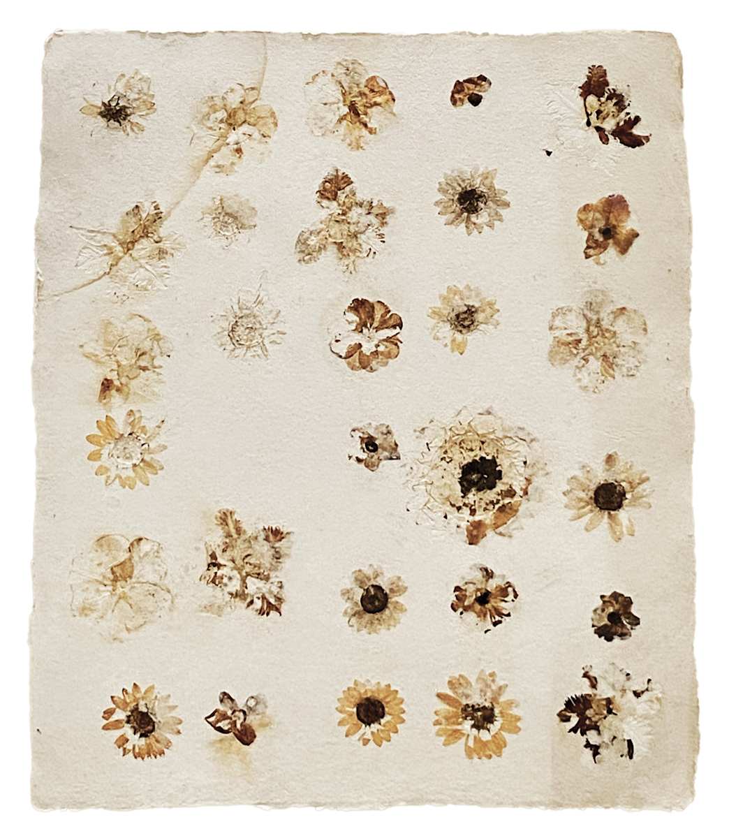 Botany I by Yvette Grutter, Image 3.