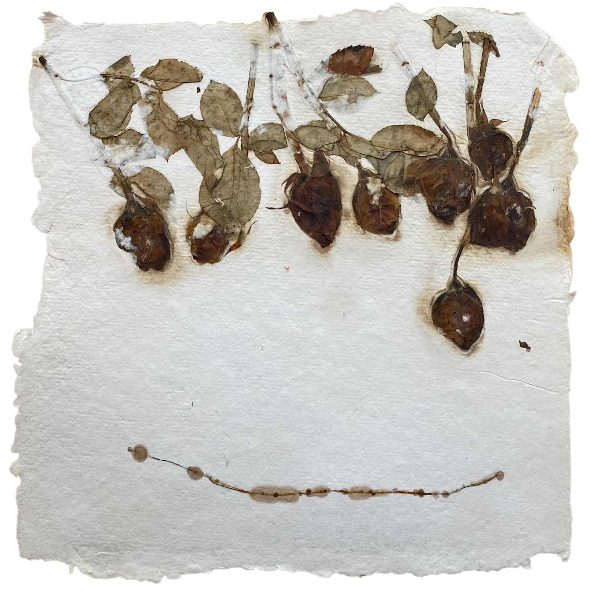 Line by Yvette Grutter, Image 1.