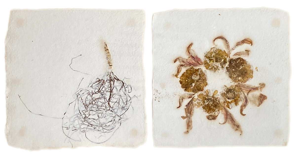Raiz by Yvette Grutter, Image 1.