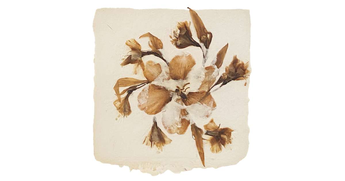 Reguilete by Yvette Grutter, Image 1.