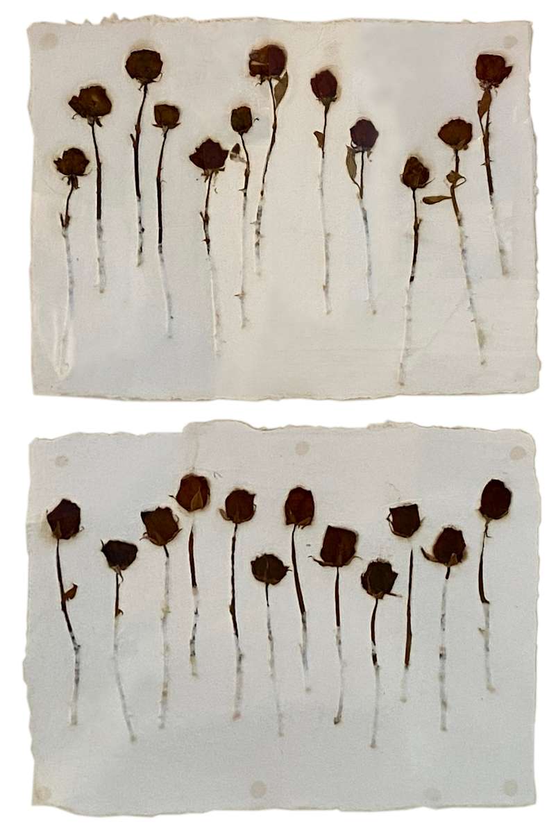Roses Dance by Yvette Grutter, Image 1.