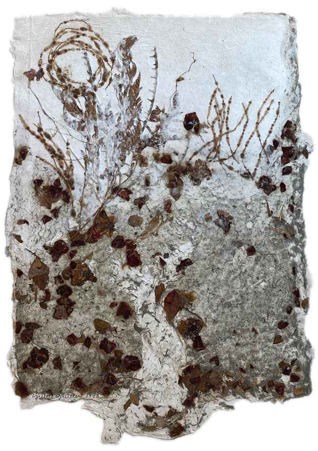 Rose Swamp by Yvette Grutter, Image 1.