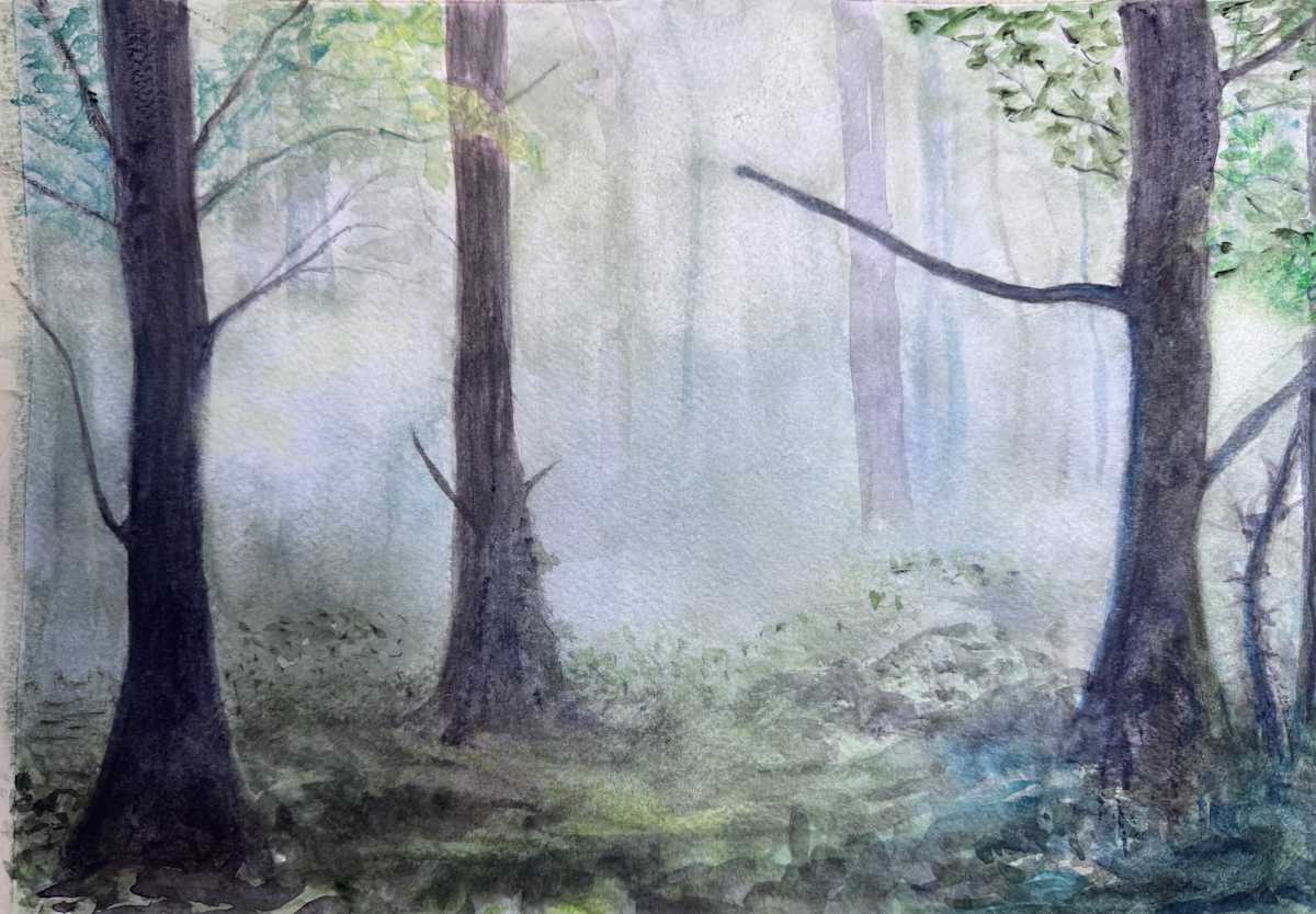 Foggy Forest by Dee Elle 