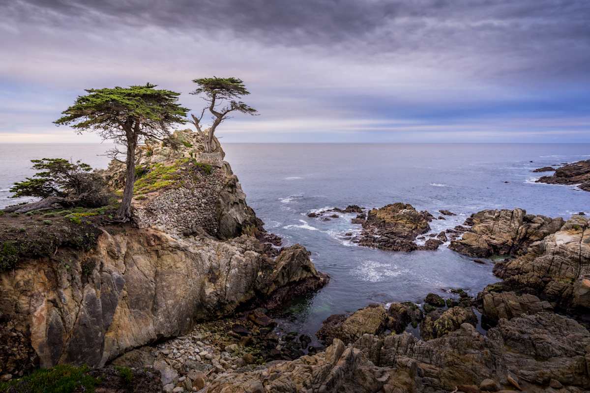 Carmel-by-the-Sea - Not-Quite-So-Lone Cypress by Juan Matorras 
