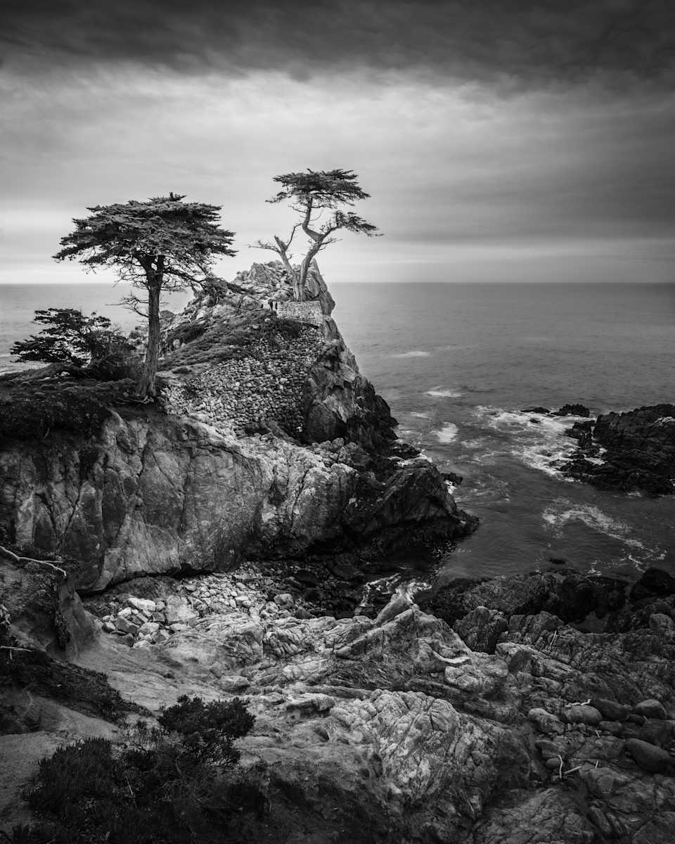 Carmel-by-the-Sea - Lone Cypress by Juan Matorras 