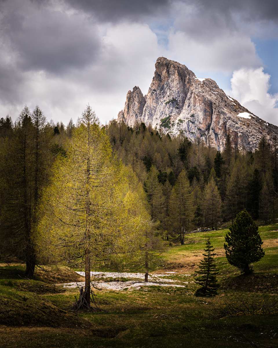 Dolomites - At the Forest Edge by Juan Matorras 