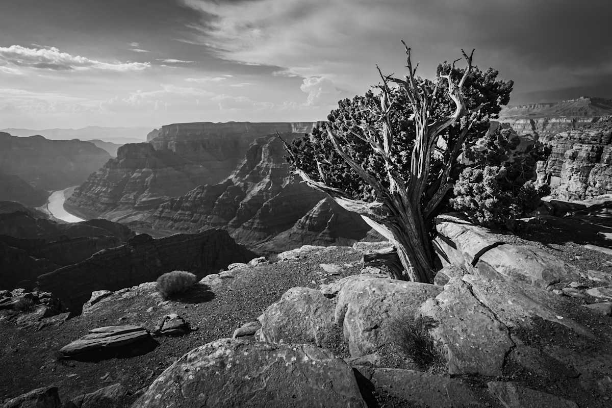 Grand Canyon - Surviving on the Edge by Juan Matorras 