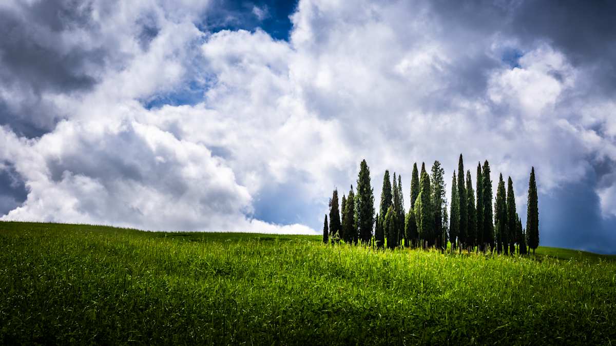 Tuscany - Cypresses by Juan Matorras 