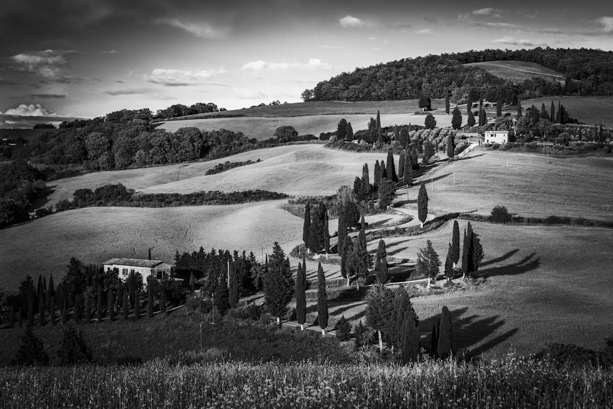 Tuscany - Winding Path by Juan Matorras 