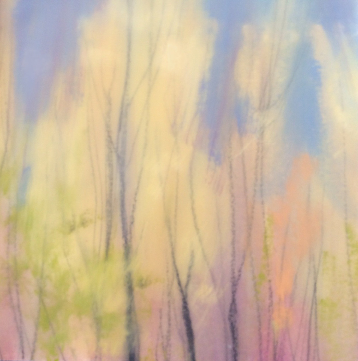 Uplifted by Catherine Doocy 