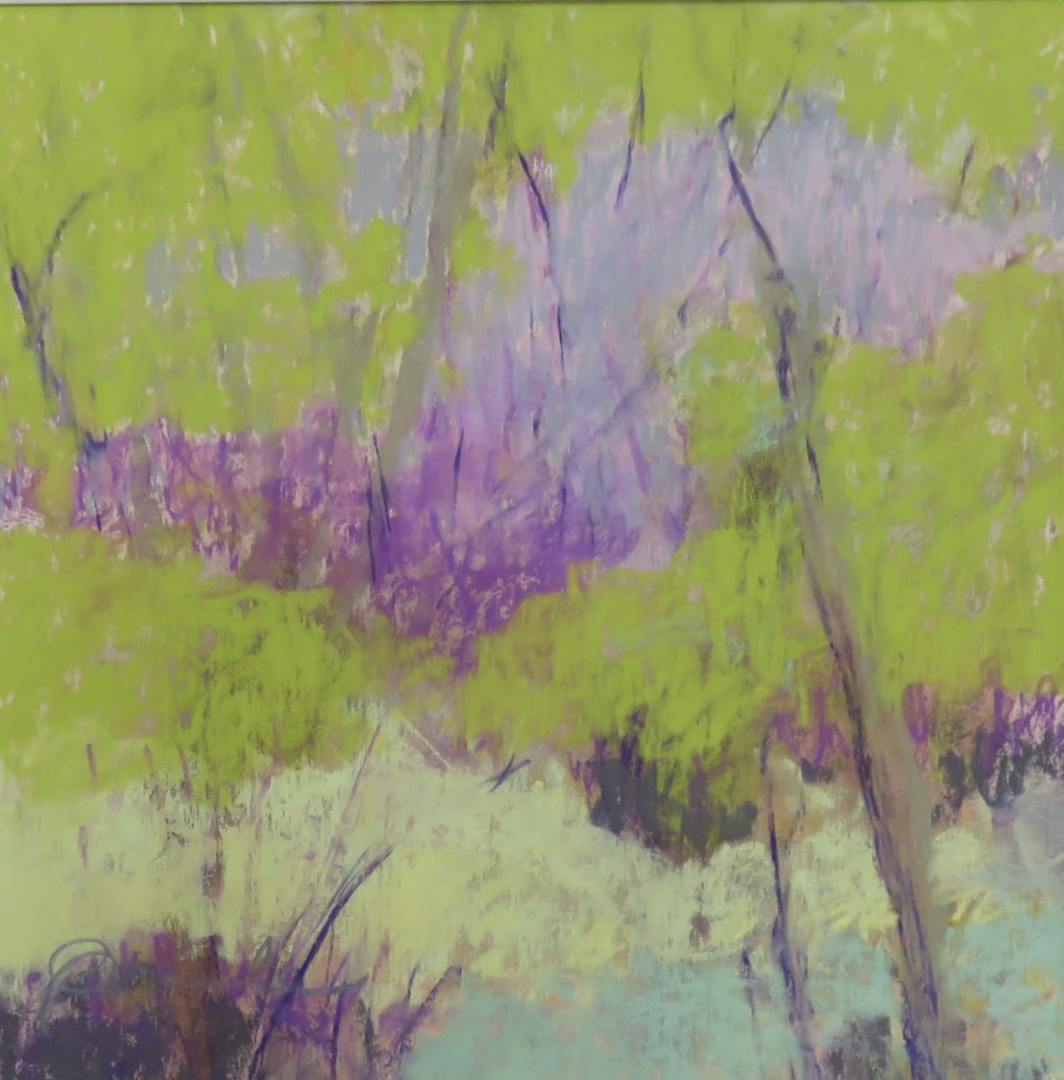 Peter's Spring Valley by Donna Grande, Image 1.