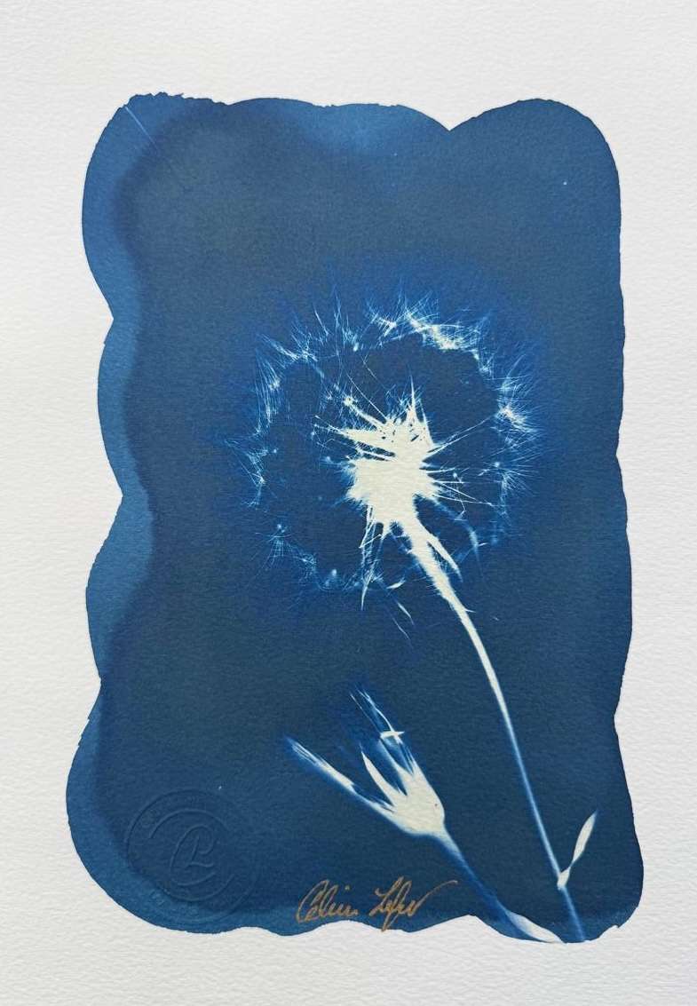 Make a Wish by CELINE LEFORT 