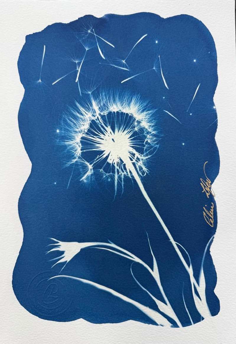 Make a Wish by CELINE LEFORT 