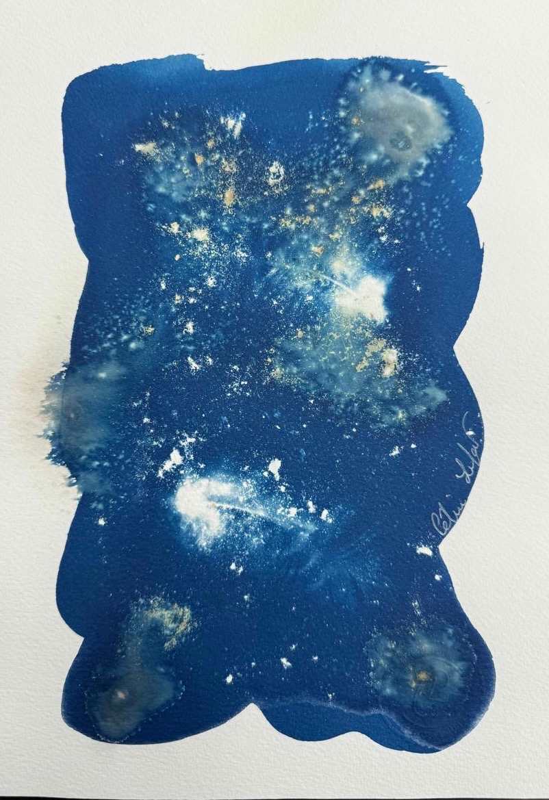 Owl Feather 2 by CELINE LEFORT 