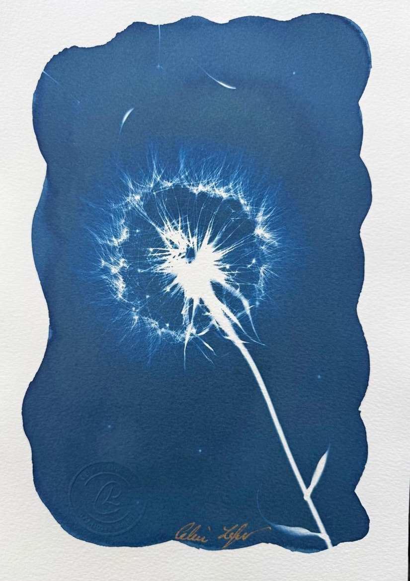 Make a wish by CELINE LEFORT 