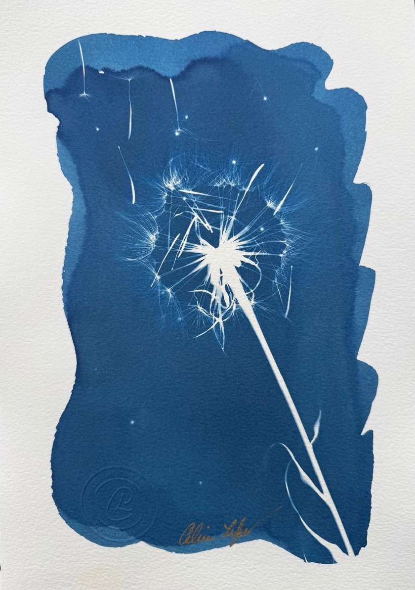 Make a Wish by CELINE LEFORT, Image 1.