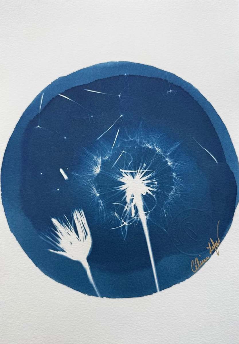 Make a Wish by CELINE LEFORT 