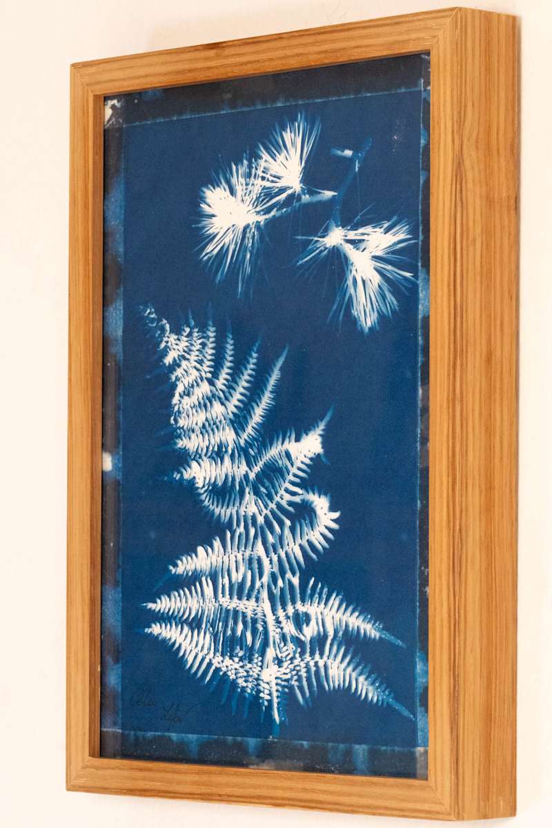 Fern & Pine by CELINE LEFORT, Image 1.