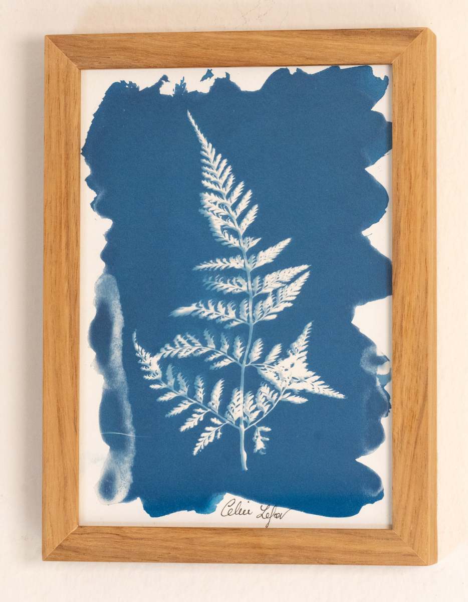 Fern by CELINE LEFORT, Image 1.