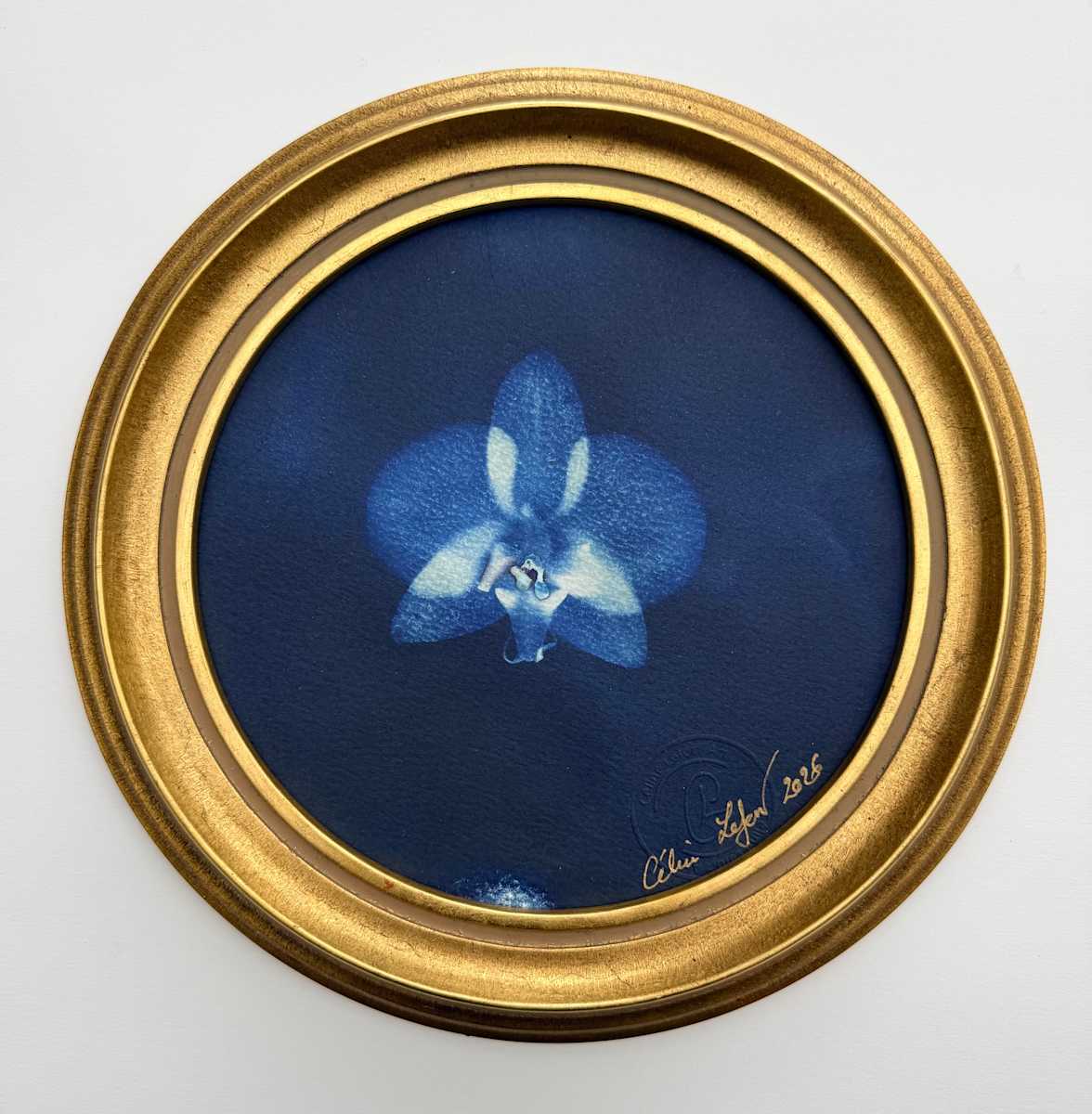 Orchide by CELINE LEFORT, Image 2.