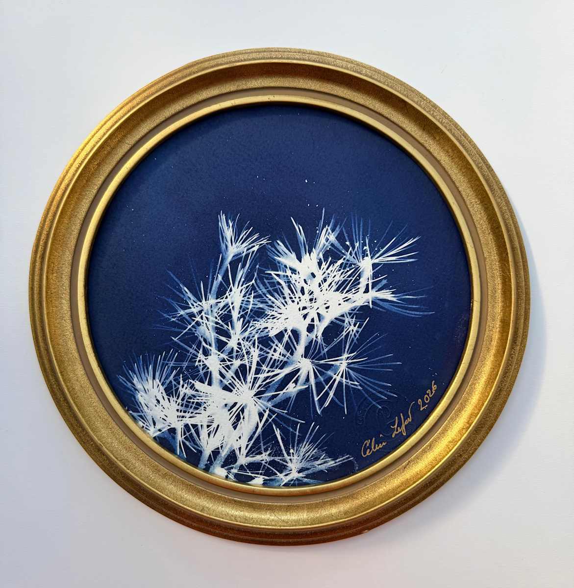 Round pine by CELINE LEFORT, Image 2.