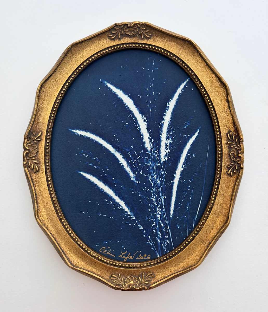Feather & Delicate Wild Grass by CELINE LEFORT, Image 2.