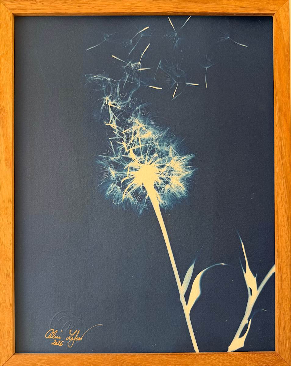 Faire un voeu by CELINE LEFORT, Image 2.