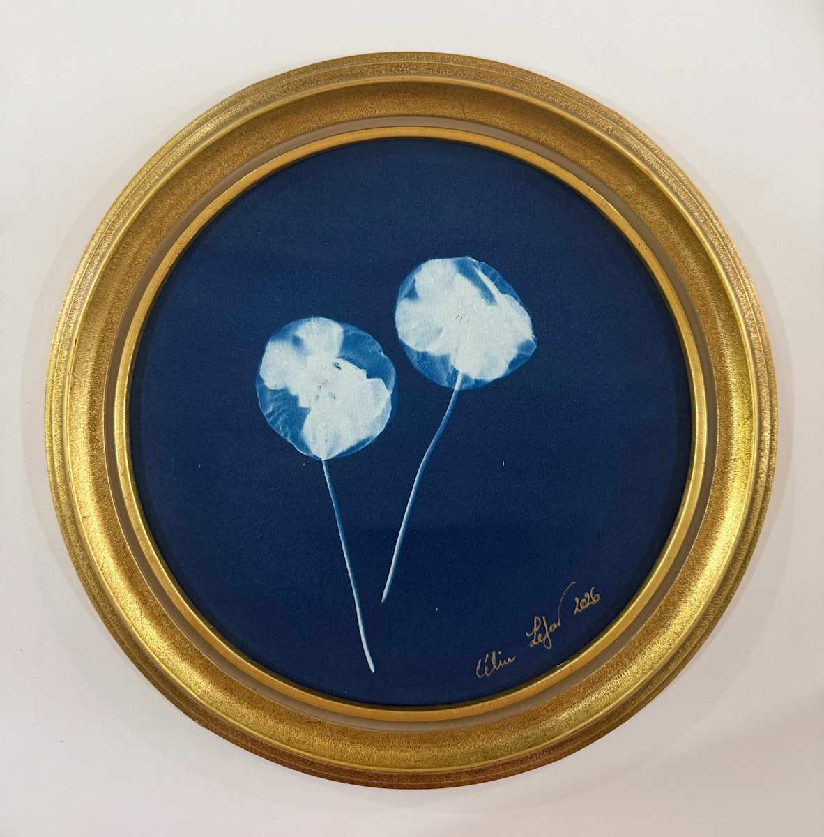 Double Poppies (Round) by CELINE LEFORT, Image 1.