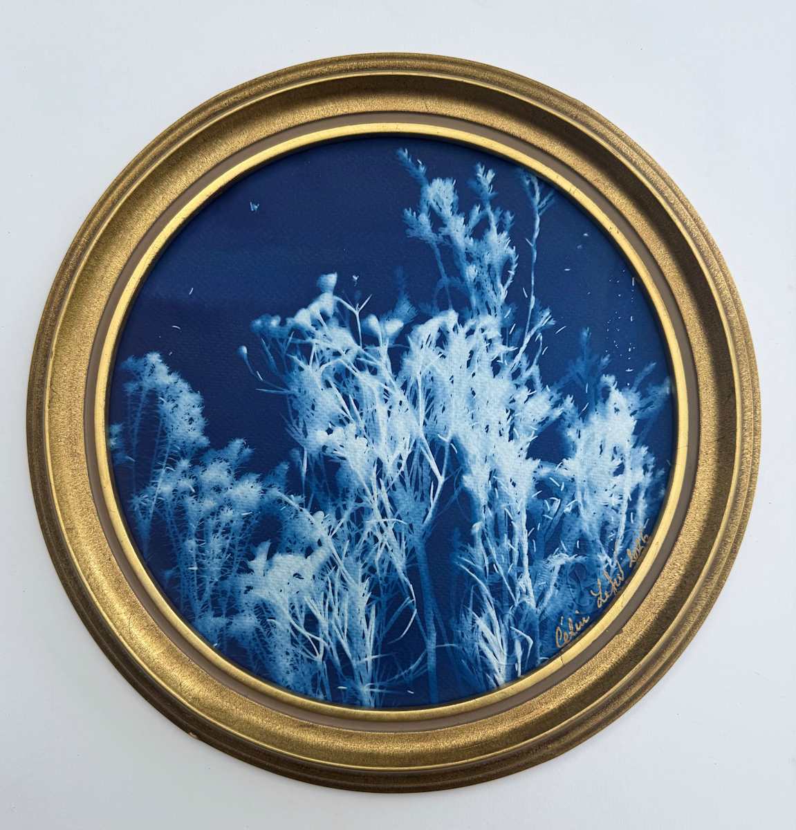 Moon Garden Fynbos (Round) by CELINE LEFORT, Image 1.