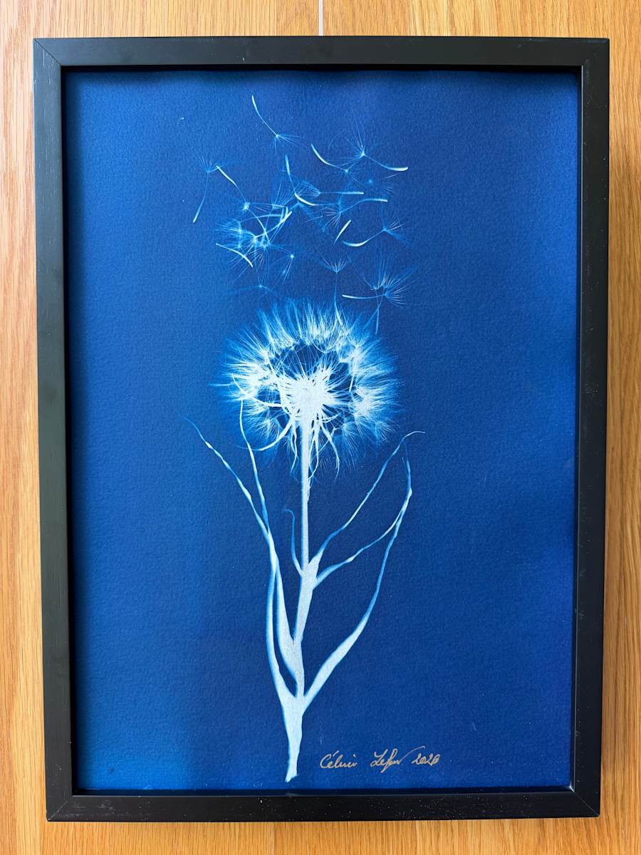 Wish by CELINE LEFORT, Image 1.