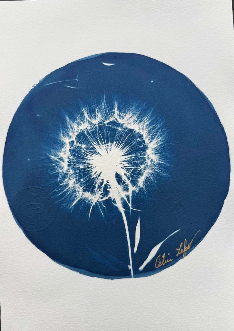 Make a Wish by CELINE LEFORT 