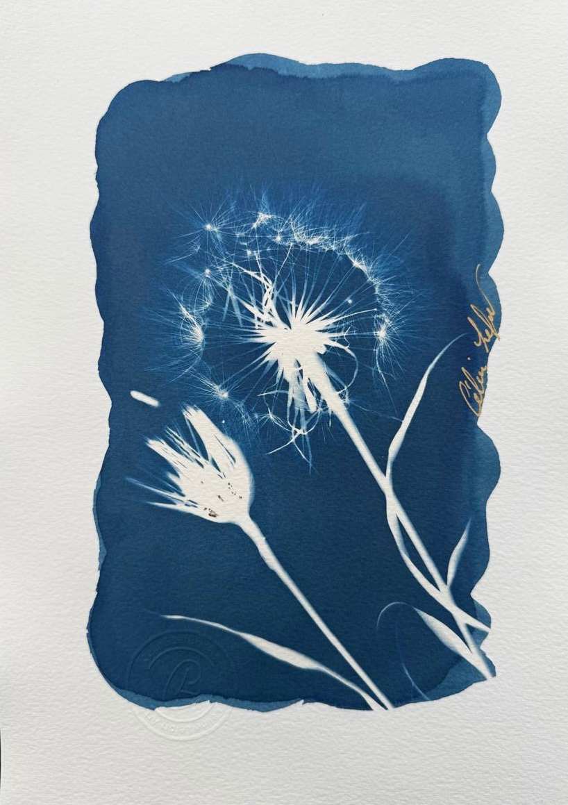 Make a wish by CELINE LEFORT 