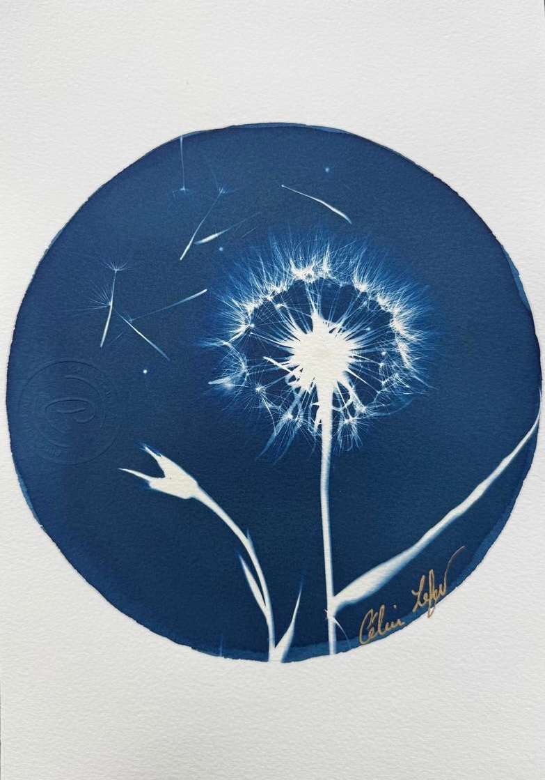 Make a wish by CELINE LEFORT, Image 1.