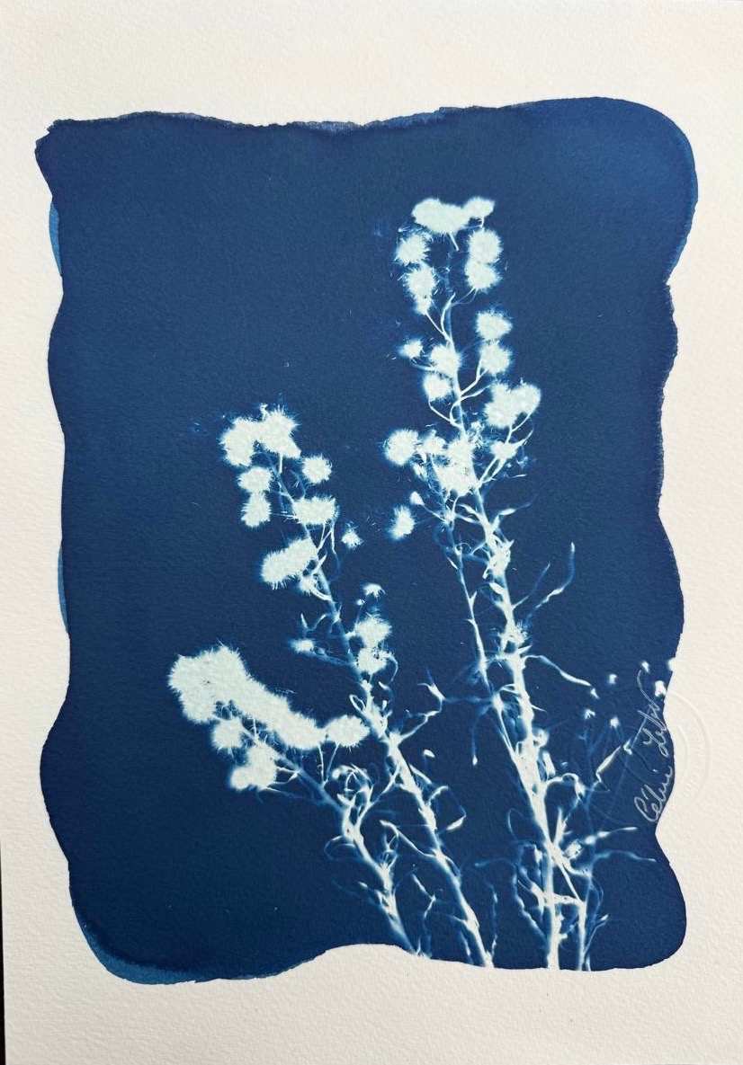 Little Pom-Pom 2 by CELINE LEFORT, Image 1.