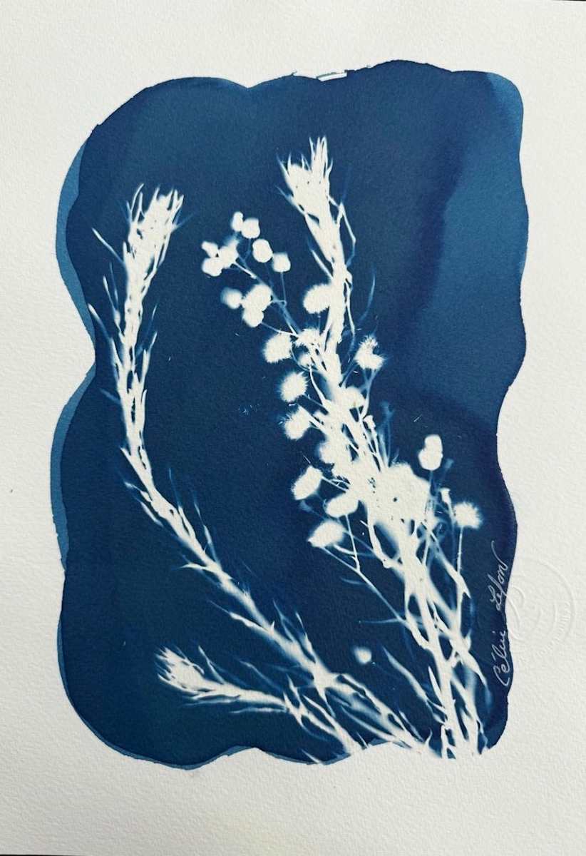 Little Pom-Pom 4 by CELINE LEFORT, Image 1.