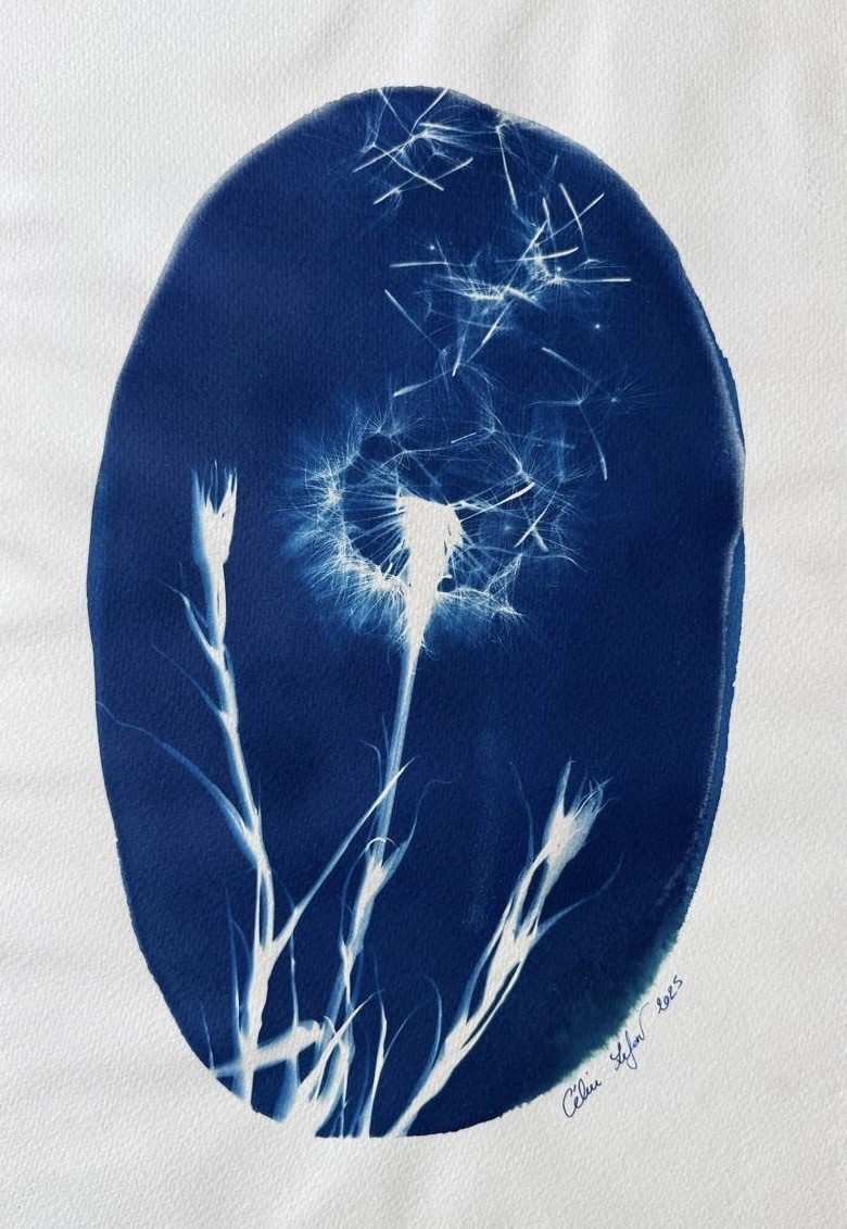 Made a Wish 2 by CELINE LEFORT 